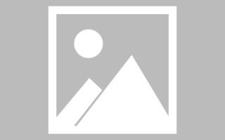 永州玉兔网站制作头像app（玉兔素材抠图）